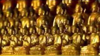 The Blue Buddha:  Lost Secrets of Tibetan Medicine